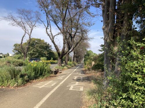 テーマパーク自転車歩行者歩道